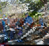 Herring Island Summer Arts Festival - Tourism Gold Coast