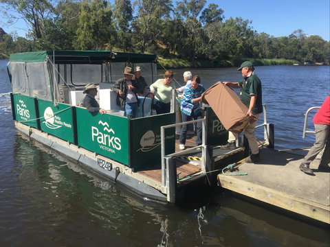Herring Island Summer Arts Festival - Tourism Gold Coast 1