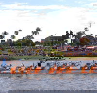 Jacaranda Dragon Boat Races - Tourism Gold Coast