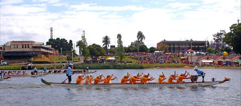 Jacaranda Dragon Boat Races - Tourism Gold Coast 0