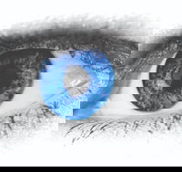 Joe Orton's What the Butler Saw - Tourism Gold Coast