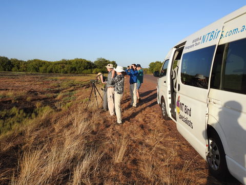 Kakadu Bird Week Tours & Cruises - Tourism Gold Coast 1
