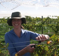 Kingsdale Wines - Cellar Door Wine Tastings - Tourism Gold Coast