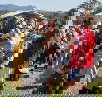 Lovedale Long Lunch - Tourism Gold Coast