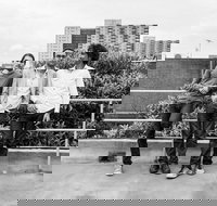 Luke Howard Trio - Tourism Gold Coast