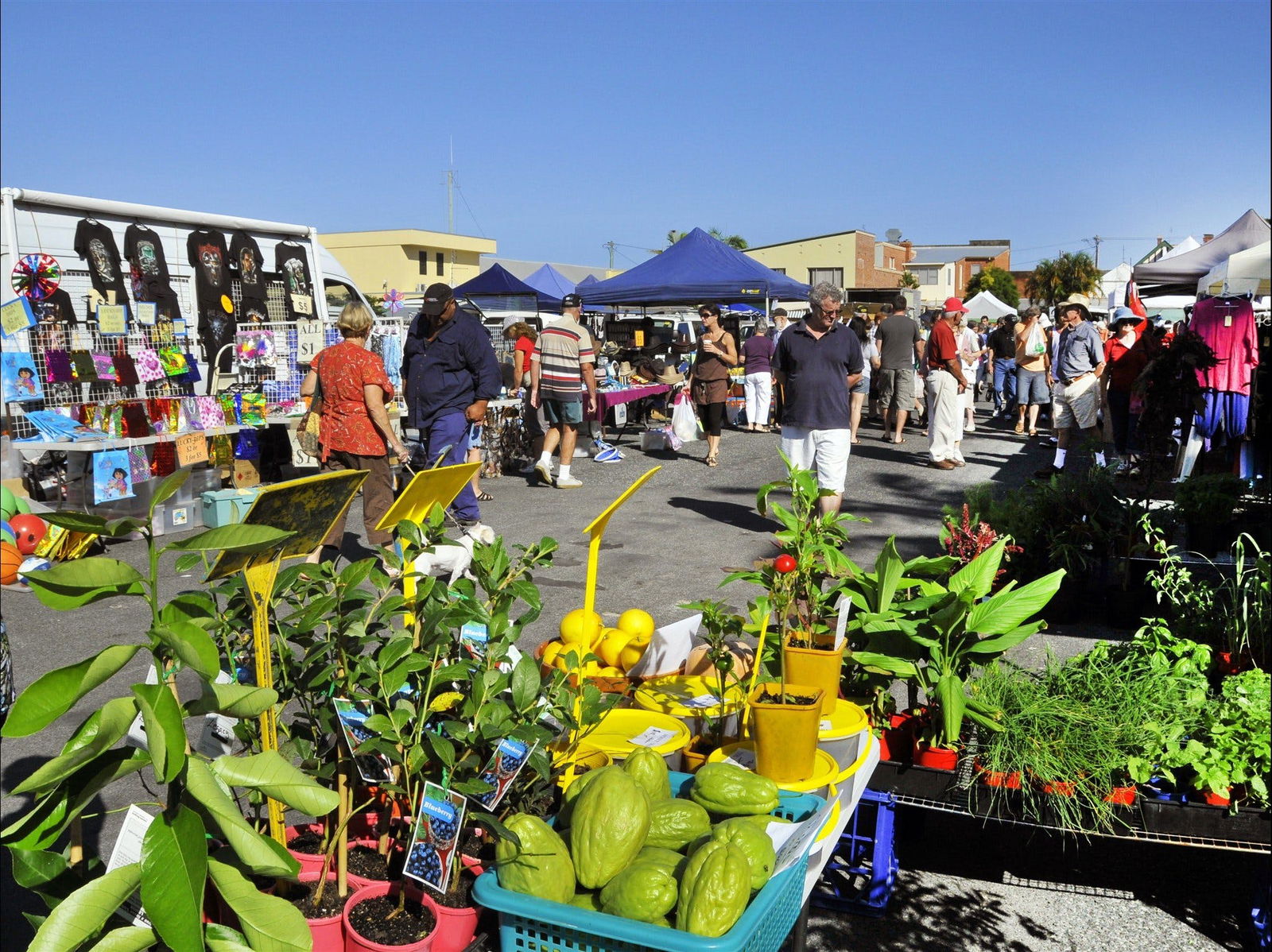 Maclean NSW Tourism Gold Coast