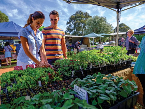 Margaret River Farmers Market - Tourism Gold Coast 1