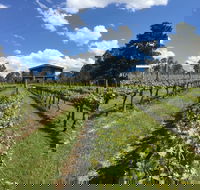 Mortimer's Diploma of Taste - Tourism Gold Coast