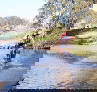 Mountain Man Tri Challenge - Tourism Gold Coast