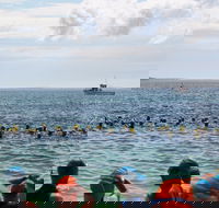 Nowra Toyota triHusky Huskisson Triathlon Festival Little Husky - Tourism Gold Coast