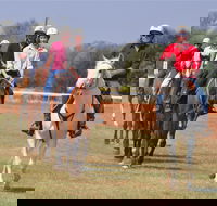 Pride of the West Races 2020 - Tourism Gold Coast
