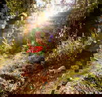 Run Dungog - Tourism Gold Coast