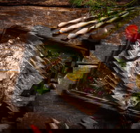 Seafood BBQ Cooking Class - Tourism Gold Coast