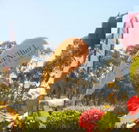 Sevenhill Producers Market - Tourism Gold Coast