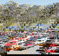 Spring Cruiz In - Tourism Gold Coast