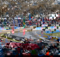Supercars Supercheap Auto Bathurst 1000 - Tourism Gold Coast