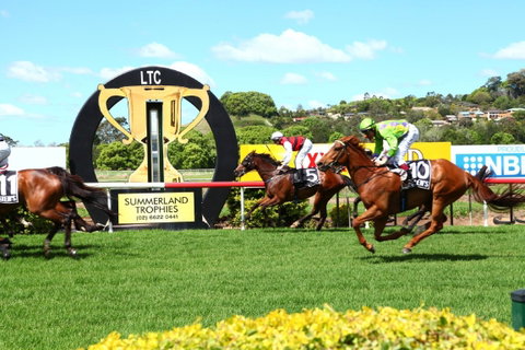 The O’Brien Electrical And Plumbing Lismore Cup - Tourism Gold Coast 1