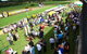 The O’Brien Electrical And Plumbing Lismore Cup - thumb 2