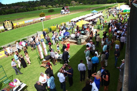 The O’Brien Electrical And Plumbing Lismore Cup - Tourism Gold Coast 2