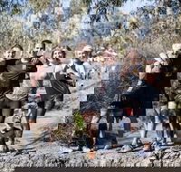 True Grit - Tourism Gold Coast