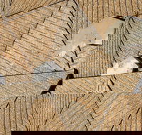 WA Now  Tom Mller Monolith Scores - Virtual Exhibition - Tourism Gold Coast