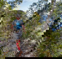 Wild Earth Coastal High 50 - Tourism Gold Coast