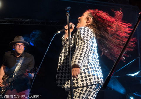 Wingham Akoostik Festival - Tourism Gold Coast 0