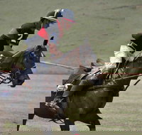 Wirragulla Annual Polo Tournament - Tourism Gold Coast