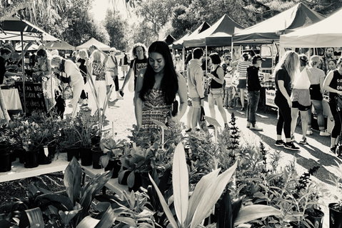 Yamba Farmers And Producers Market - Tourism Gold Coast 0