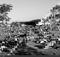 Yours and Owls Festival - Tourism Gold Coast