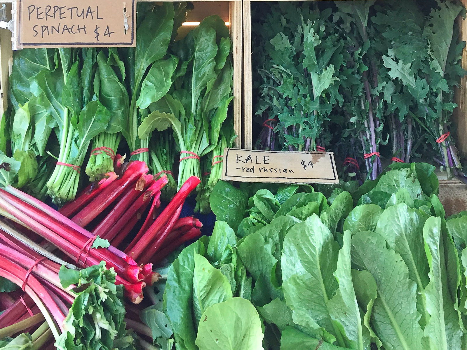 Allans Flat VIC Tourism Gold Coast