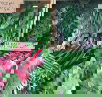 Albury Wodonga Farmers Market - Tourism Gold Coast