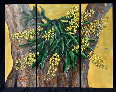 A Still Life - Solo Exhibition  Karen Sedaitis - Tourism Gold Coast 1