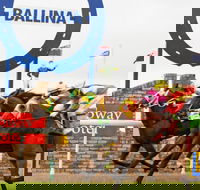 Ballina Boxing Day Races - Tourism Gold Coast