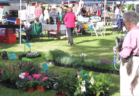 Batemans Bay Sunday Market - Tourism Gold Coast 2
