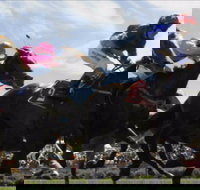 Batemans Bay Cup - Tourism Gold Coast