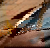 Blacksmithing 2 Day Project Workshop - Tourism Gold Coast