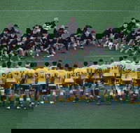 Bledisloe Cup Qantas Wallabies versus All Blacks - Tourism Gold Coast