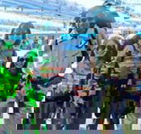 Boo at the Zoo - Tourism Gold Coast