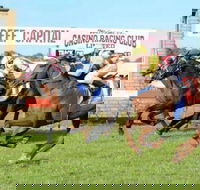 Casino Cup - Tourism Gold Coast