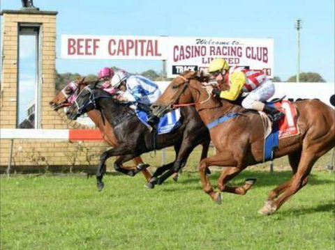 Casino Cup - Tourism Gold Coast 0