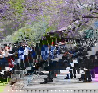 Celtic Festival of Queensland - Tourism Gold Coast