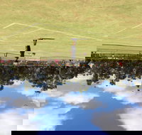 Charlton Lawn Tennis Club Annual Tournament - Tourism Gold Coast