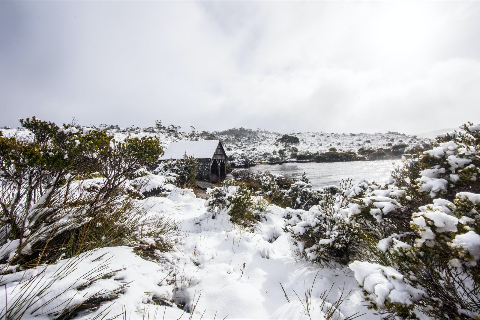 Cradle Mountain TAS Tourism Gold Coast