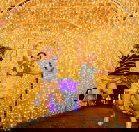 Christmas Lights Spectacular New Year's Eve at Hunter Valley Gardens - Tourism Gold Coast