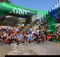 Coffs Harbour Running Festival - Tourism Gold Coast