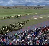 Cooma Sundowners Cup - Tourism Gold Coast