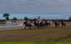 Corowa Horseraces - thumb 0