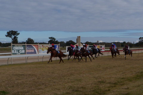 Corowa Horseraces - Tourism Gold Coast 0