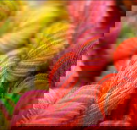 Creative Fibre - Tourism Gold Coast
